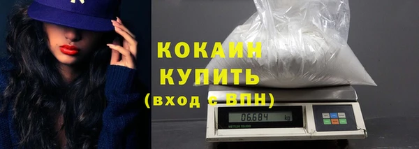 дурь Няндома