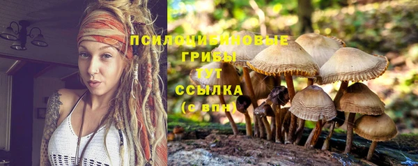 а пвп мука Новозыбков