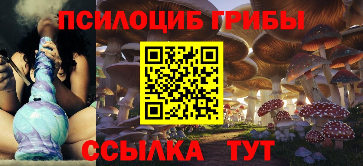 Хабаровск  Псилоцибиновые грибы Psilocybine cubensis  Вход с VPN 